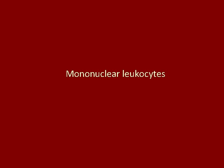 Mononuclear leukocytes 