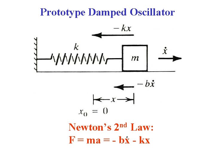 Prototype Damped Oscillator Newton’s 2 nd Law: F = ma = - bx -