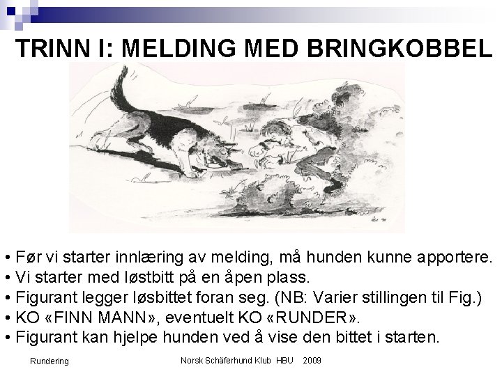 TRINN I: MELDING MED BRINGKOBBEL • Før vi starter innlæring av melding, må hunden