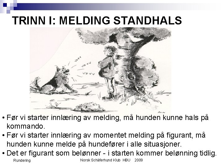 TRINN I: MELDING STANDHALS • Før vi starter innlæring av melding, må hunden kunne