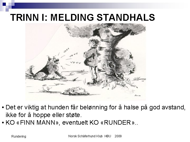 TRINN I: MELDING STANDHALS • Det er viktig at hunden får belønning for å