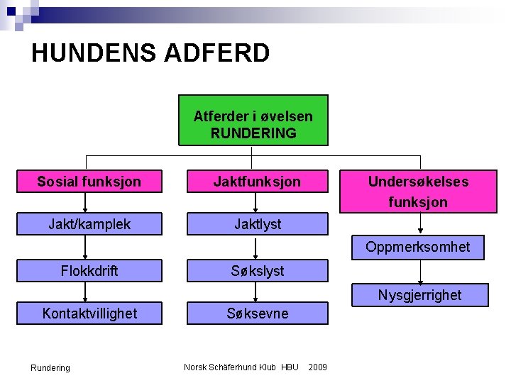 HUNDENS ADFERD Atferder i øvelsen RUNDERING Sosial funksjon Jakt/kamplek Jaktlyst Undersøkelses funksjon Oppmerksomhet Flokkdrift