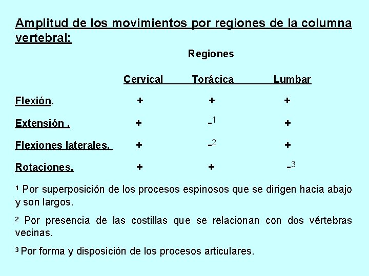 Amplitud de los movimientos por regiones de la columna vertebral: Regiones Cervical Torácica Lumbar