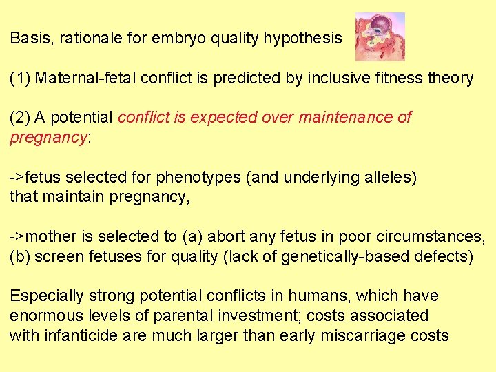 Basis, rationale for embryo quality hypothesis (1) Maternal-fetal conflict is predicted by inclusive fitness