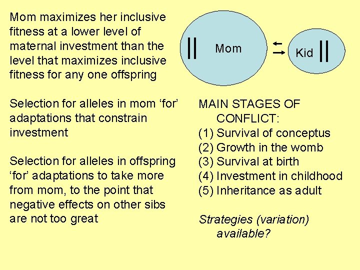 Mom maximizes her inclusive fitness at a lower level of maternal investment than the