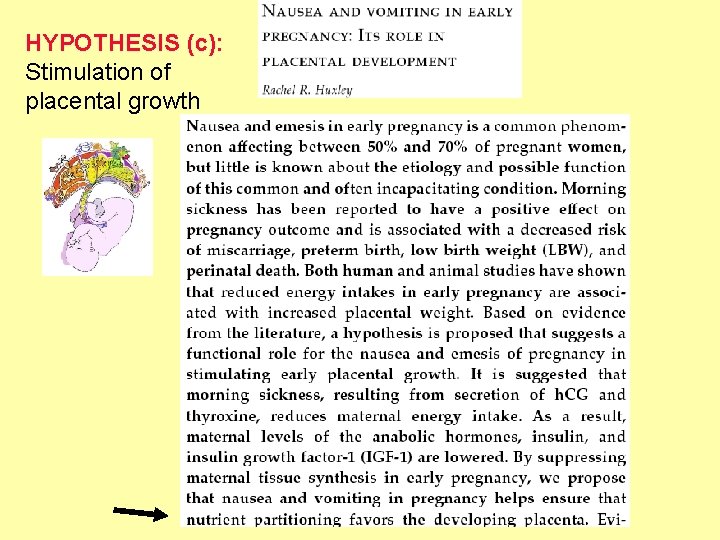 HYPOTHESIS (c): Stimulation of placental growth 