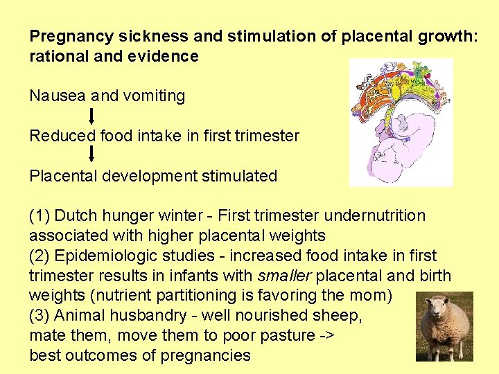Pregnancy sickness and stimulation of placental growth: rational and evidence Nausea and vomiting Reduced