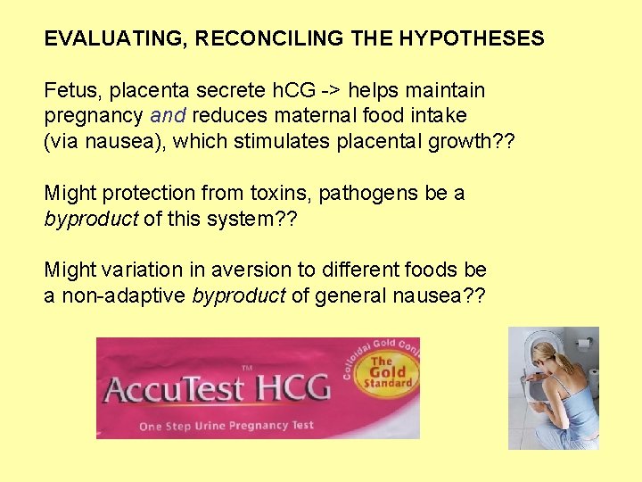 EVALUATING, RECONCILING THE HYPOTHESES Fetus, placenta secrete h. CG -> helps maintain pregnancy and