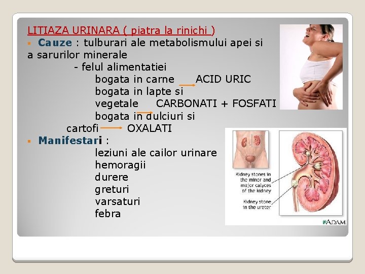 LITIAZA URINARA ( piatra la rinichi ) § Cauze : tulburari ale metabolismului apei