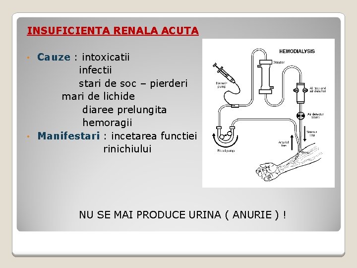 INSUFICIENTA RENALA ACUTA Cauze : intoxicatii infectii stari de soc – pierderi mari de