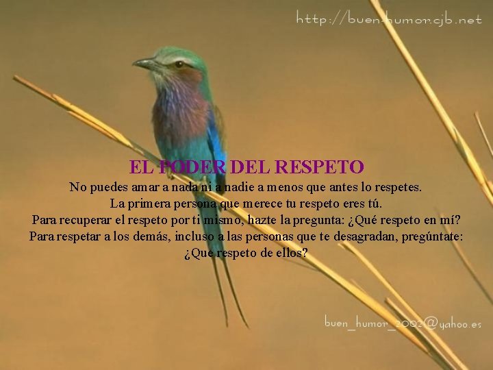 EL PODER DEL RESPETO No puedes amar a nada ni a nadie a menos