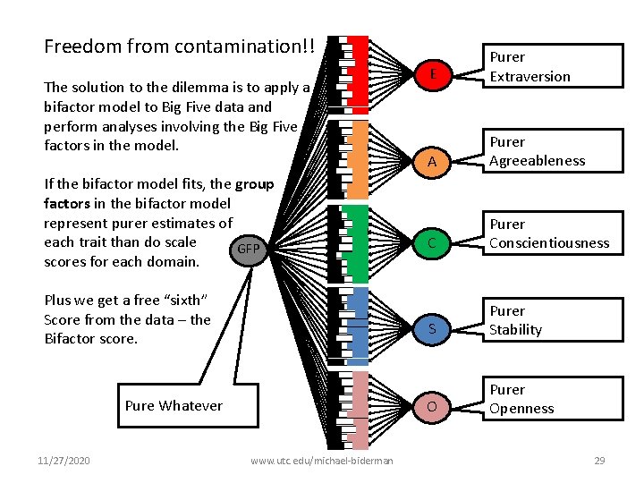 Freedom from contamination!! The solution to the dilemma is to apply a bifactor model