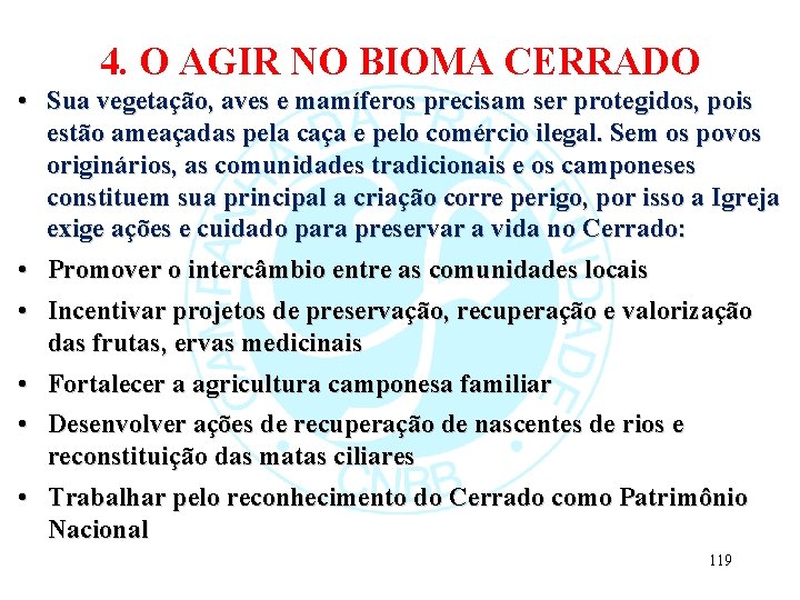 4. O AGIR NO BIOMA CERRADO • Sua vegetação, aves e mamíferos precisam ser