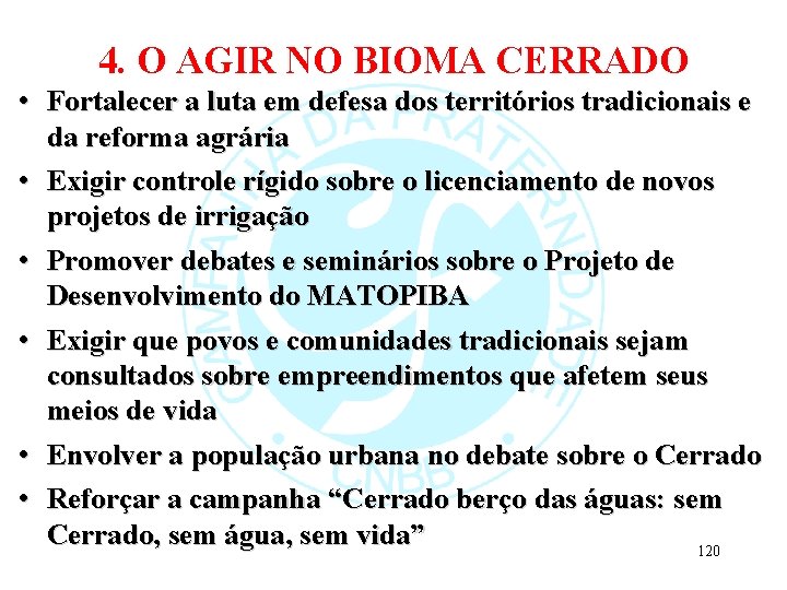 4. O AGIR NO BIOMA CERRADO • Fortalecer a luta em defesa dos territórios