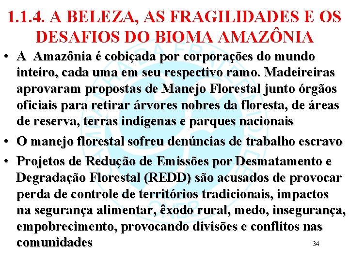 1. 1. 4. A BELEZA, AS FRAGILIDADES E OS DESAFIOS DO BIOMA AMAZÔNIA •