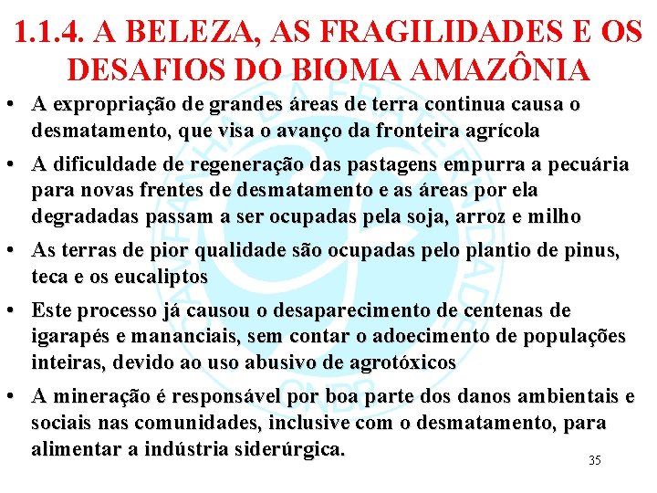 1. 1. 4. A BELEZA, AS FRAGILIDADES E OS DESAFIOS DO BIOMA AMAZÔNIA •