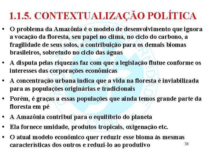 1. 1. 5. CONTEXTUALIZAÇÃO POLÍTICA • O problema da Amazônia é o modelo de