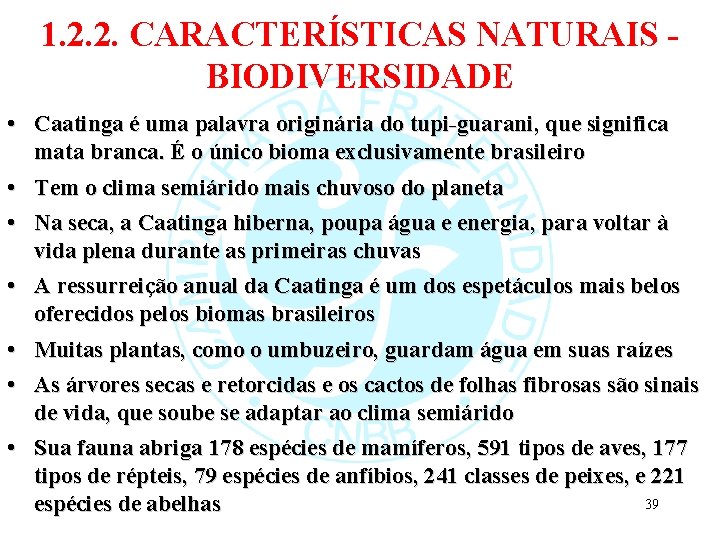 1. 2. 2. CARACTERÍSTICAS NATURAIS BIODIVERSIDADE • Caatinga é uma palavra originária do tupi-guarani,