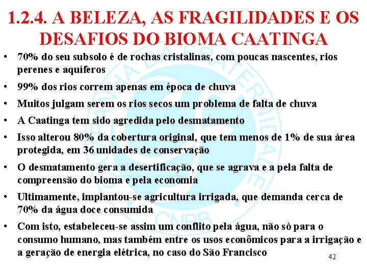 1. 2. 4. A BELEZA, AS FRAGILIDADES E OS DESAFIOS DO BIOMA CAATINGA •