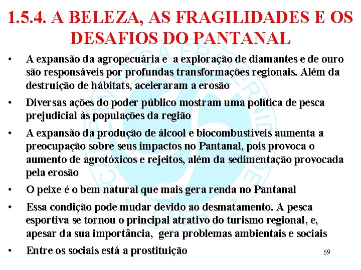 1. 5. 4. A BELEZA, AS FRAGILIDADES E OS DESAFIOS DO PANTANAL • A