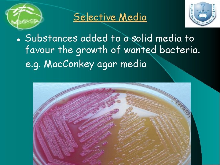 Selective Media l Substances added to a solid media to favour the growth of