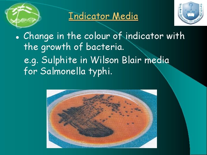 Indicator Media l Change in the colour of indicator with the growth of bacteria.