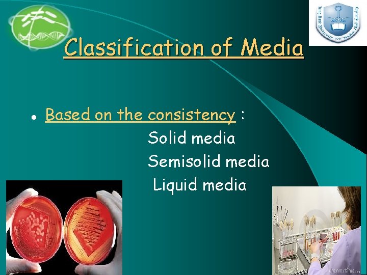 Classification of Media l Based on the consistency : Solid media Semisolid media Liquid