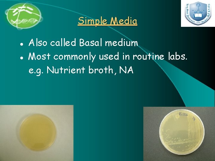 Simple Media l l Also called Basal medium Most commonly used in routine labs.