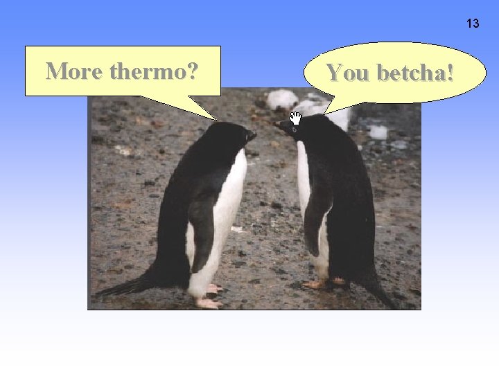 13 More thermo? You betcha! 