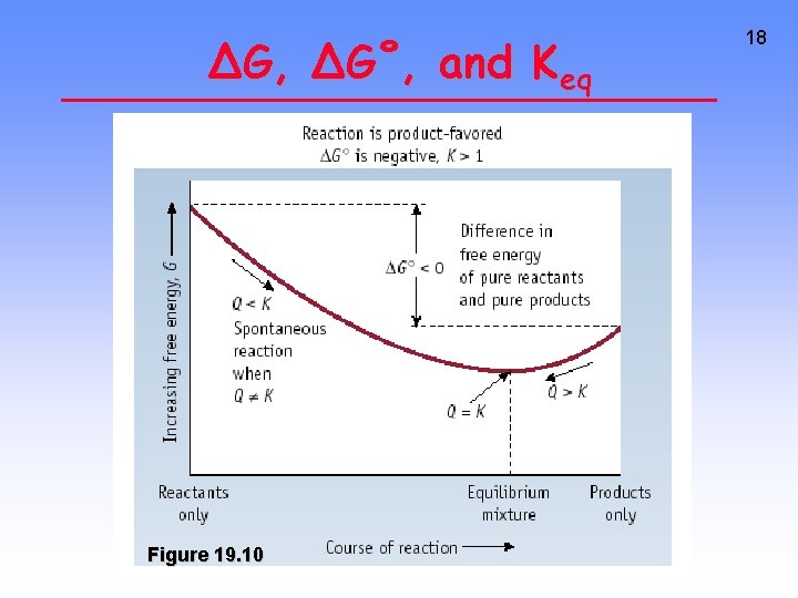 ∆G, ∆G˚, and Keq Figure 19. 10 18 