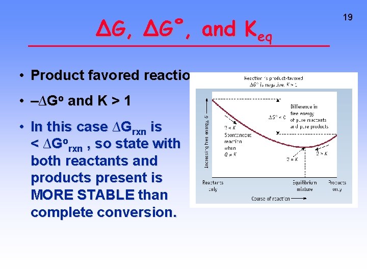 ∆G, ∆G˚, and Keq • Product favored reaction • –∆Go and K > 1