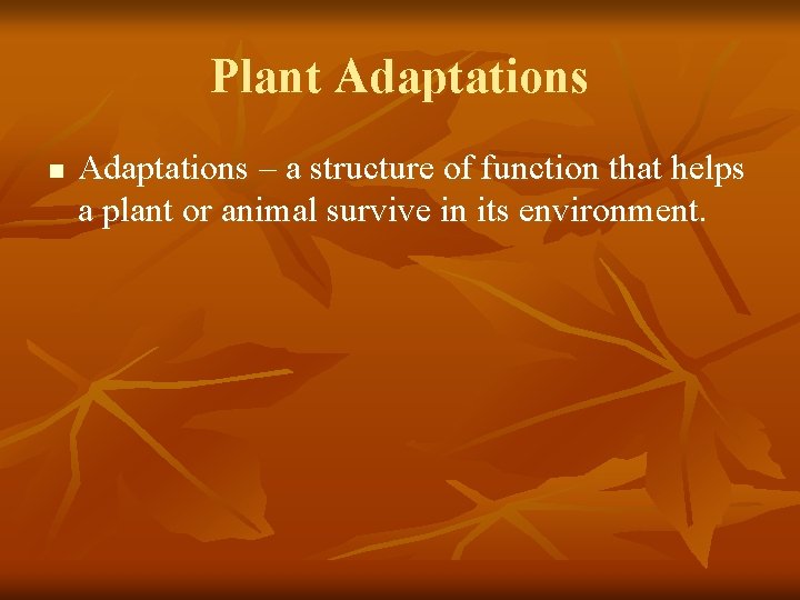 Plant Adaptations n Adaptations – a structure of function that helps a plant or
