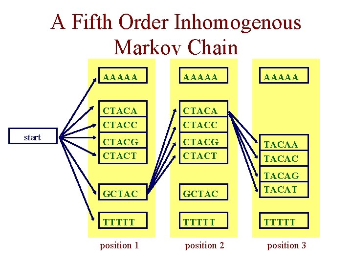 A Fifth Order Inhomogenous Markov Chain start AAAAA CTACC CTACA CTACC CTACG CTACT TACAA