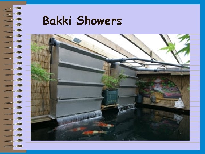 Bakki Showers 