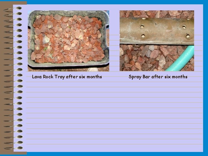 Lava Rock Tray after six months Spray Bar after six months 