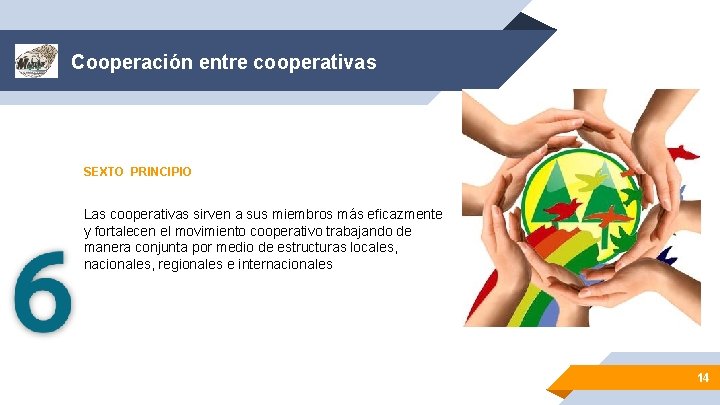 Cooperación entre cooperativas SEXTO PRINCIPIO Las cooperativas sirven a sus miembros más eficazmente y