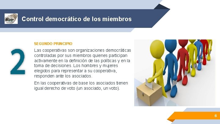 Control democrático de los miembros SEGUNDO PRINCIPIO Las cooperativas son organizaciones democráticas controladas por