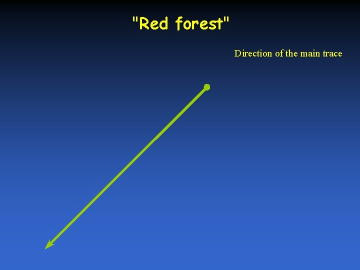 "Red forest" Direction of the main trace 