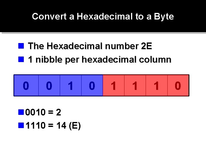 Convert a Hexadecimal to a Byte n The Hexadecimal number 2 E n 1