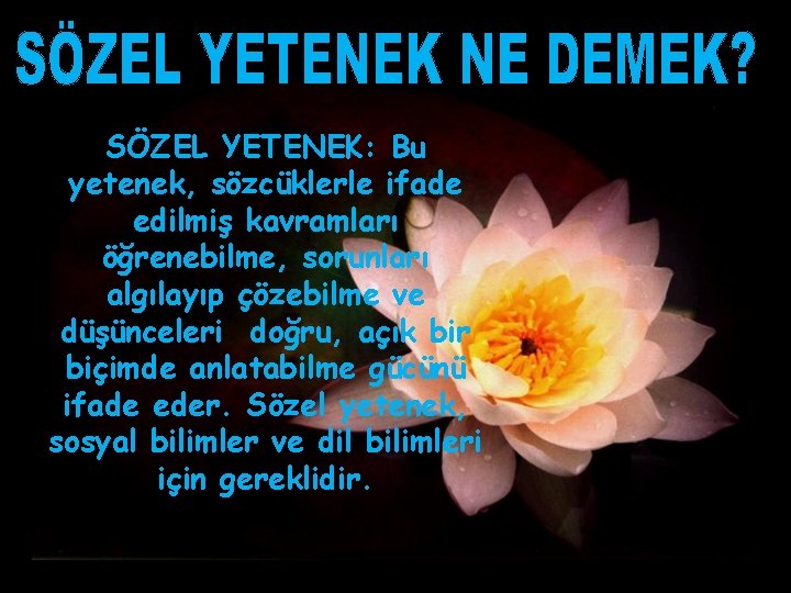 SÖZEL YETENEK: Bu yetenek, sözcüklerle ifade edilmiş kavramları öğrenebilme, sorunları algılayıp çözebilme ve düşünceleri