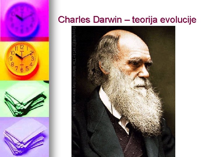 Charles Darwin – teorija evolucije 