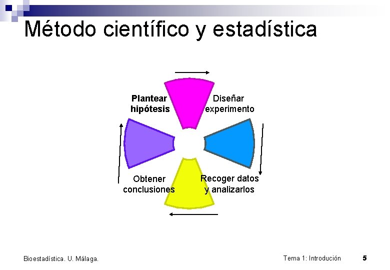 Método científico y estadística Bioestadística. U. Málaga. Plantear hipótesis Diseñar experimento Obtener conclusiones Recoger