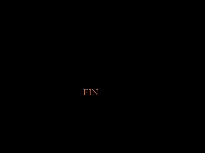 FIN 