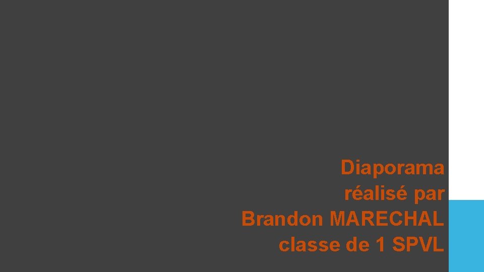 Diaporama réalisé par Brandon MARECHAL classe de 1 SPVL 