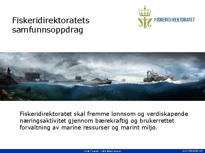 Fiskeridirektoratets samfunnsoppdrag Fiskeridirektoratet skal fremme lønnsom og verdiskapende næringsaktivitet gjennom bærekraftig og brukerrettet forvaltning