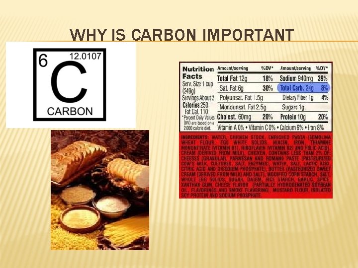 WHY IS CARBON IMPORTANT 