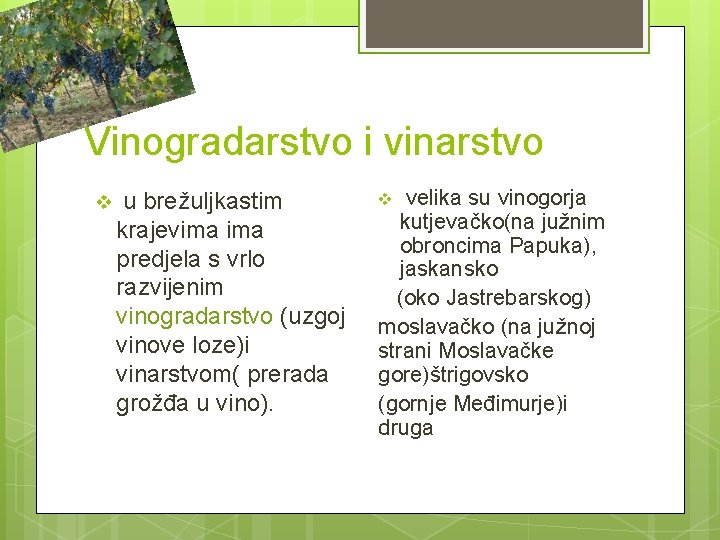 Vinogradarstvo i vinarstvo v u brežuljkastim krajevima predjela s vrlo razvijenim vinogradarstvo (uzgoj vinove