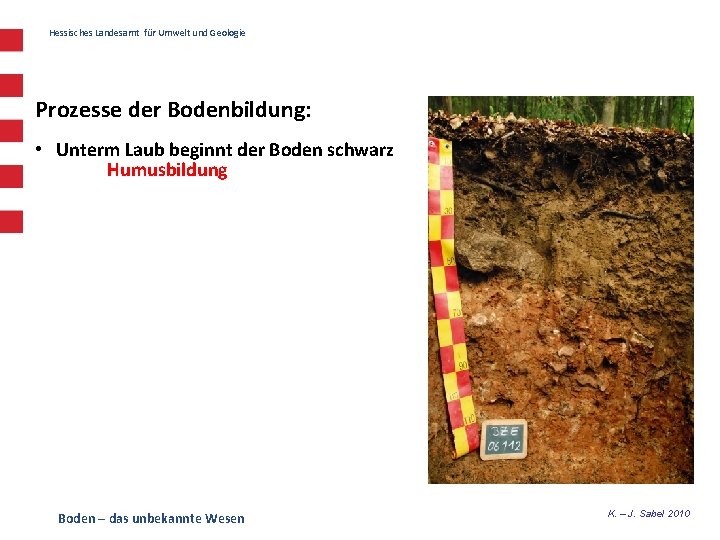 Hessisches Landesamt für Umwelt und Geologie Prozesse der Bodenbildung: • Unterm Laub beginnt der