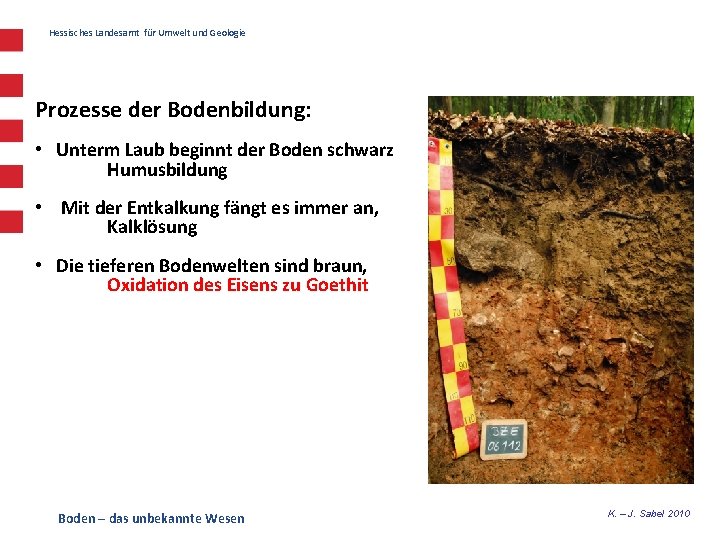 Hessisches Landesamt für Umwelt und Geologie Prozesse der Bodenbildung: • Unterm Laub beginnt der