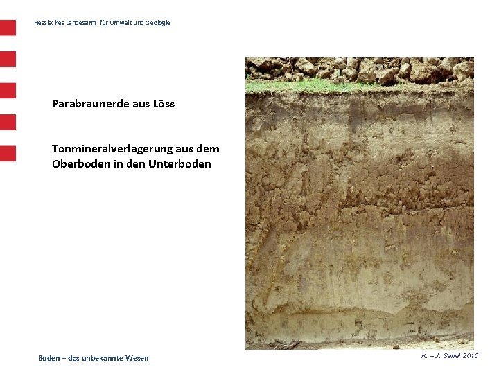 Hessisches Landesamt für Umwelt und Geologie Parabraunerde aus Löss Tonmineralverlagerung aus dem Oberboden in